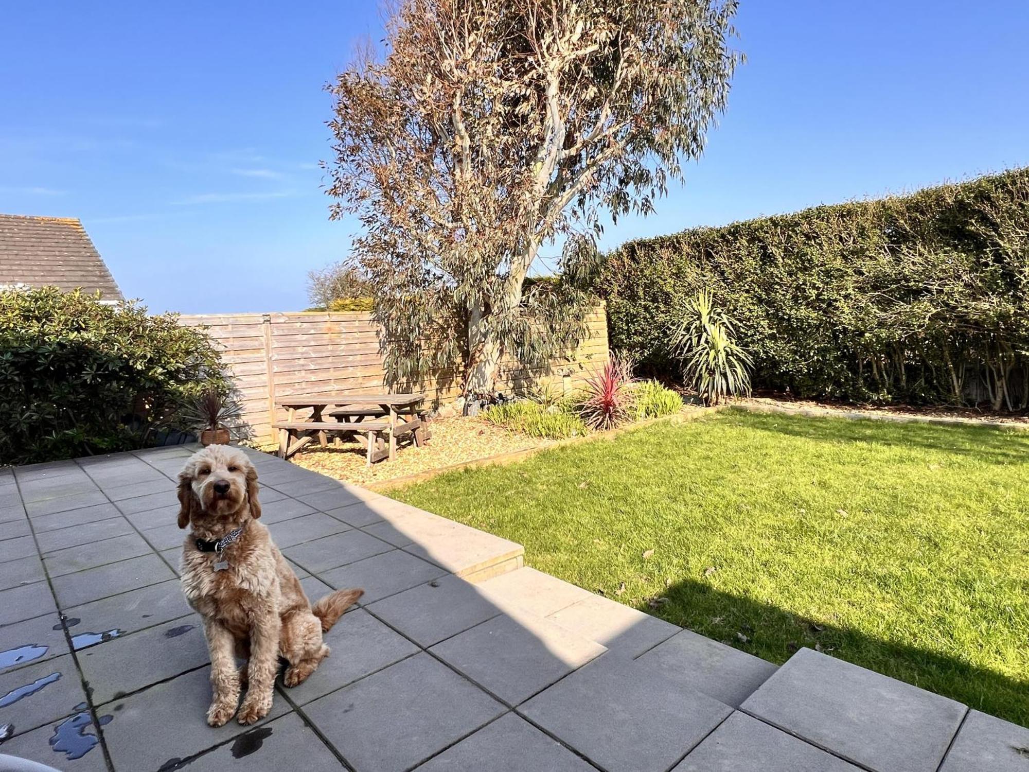 Stylish Modern Home With Parking Enclosed Garden Holyhead Extérieur photo